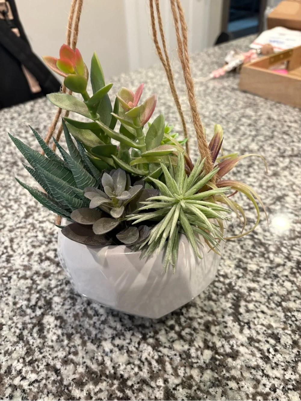 Artificial Succulent Hanging Planter - Green and Pink
